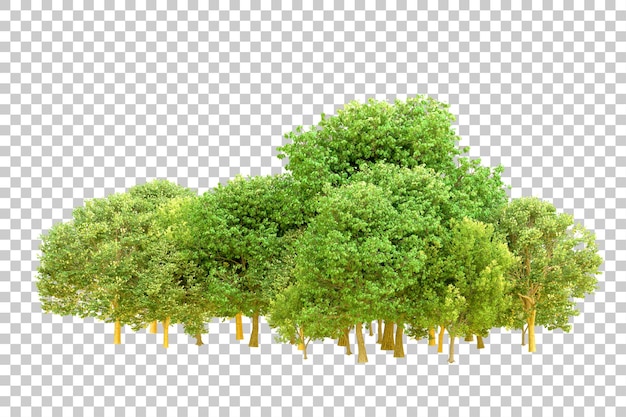 Grüner Wald isoliert auf transparentem Hintergrund 3D-Rendering-Illustration