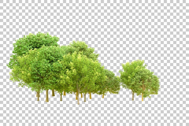 Grüner Wald isoliert auf transparentem Hintergrund 3D-Rendering-Illustration