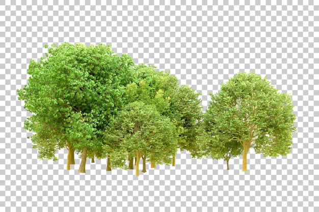 Grüner Wald isoliert auf transparentem Hintergrund 3D-Rendering-Illustration