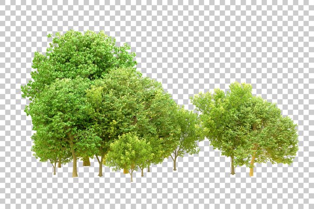 Grüner Wald isoliert auf transparentem Hintergrund 3D-Rendering-Illustration