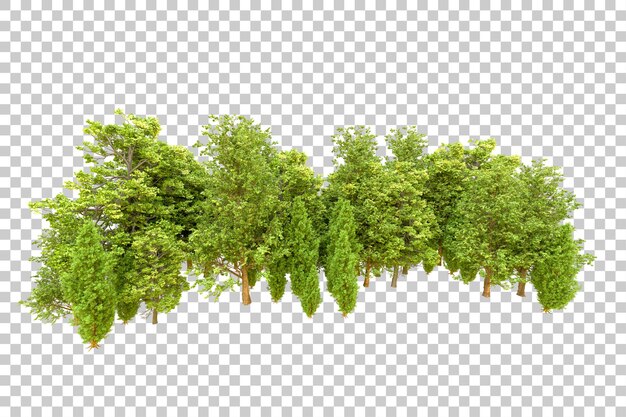 Grüner Wald isoliert auf transparentem Hintergrund 3D-Rendering-Illustration