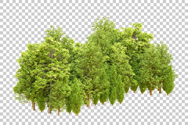 Grüner Wald isoliert auf transparentem Hintergrund 3D-Rendering-Illustration