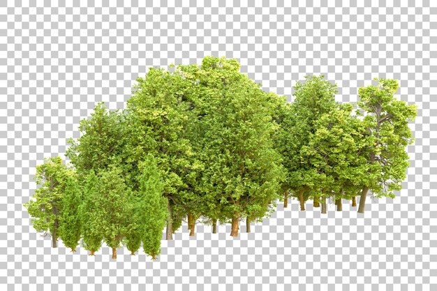 Grüner Wald isoliert auf transparentem Hintergrund 3D-Rendering-Illustration