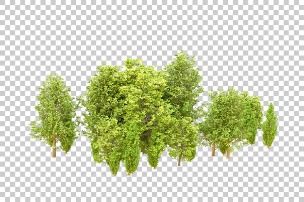 Grüner Wald isoliert auf transparentem Hintergrund 3D-Rendering-Illustration