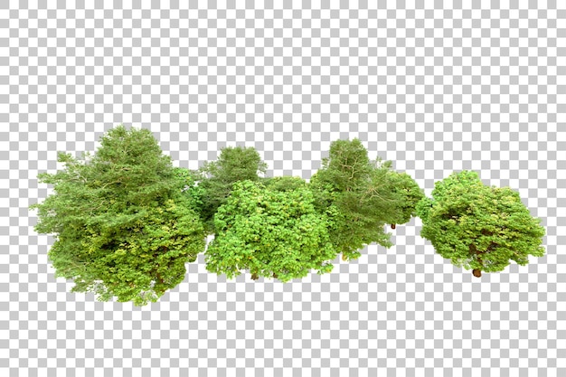 Grüner Wald isoliert auf transparentem Hintergrund 3D-Rendering-Illustration
