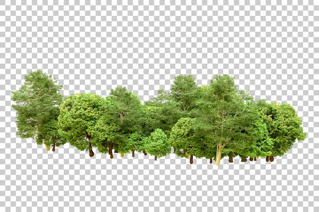 Grüner Wald isoliert auf transparentem Hintergrund 3D-Rendering-Illustration
