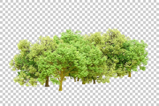 Grüner Wald isoliert auf transparentem Hintergrund 3D-Rendering-Illustration