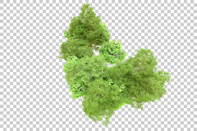 Grüner Wald isoliert auf transparentem Hintergrund 3D-Rendering-Illustration