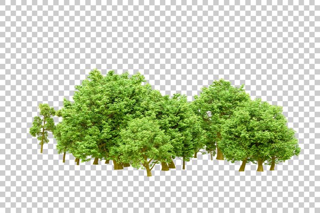 Grüner Wald isoliert auf transparentem Hintergrund 3D-Rendering-Illustration