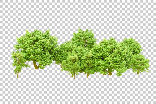 Grüner Wald isoliert auf transparentem Hintergrund 3D-Rendering-Illustration