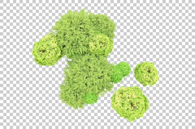 PSD grüner wald isoliert auf transparentem hintergrund 3d-rendering-illustration