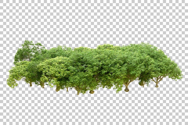 Grüner Wald isoliert auf transparentem Hintergrund 3D-Rendering-Illustration