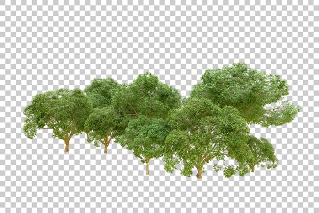 Grüner Wald isoliert auf transparentem Hintergrund 3D-Rendering-Illustration