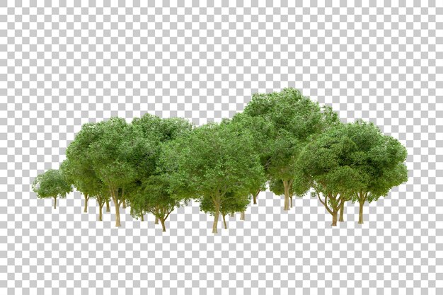 Grüner Wald isoliert auf transparentem Hintergrund 3D-Rendering-Illustration