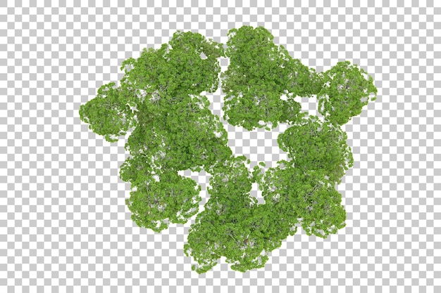 Grüner Wald isoliert auf transparentem Hintergrund 3D-Rendering-Illustration