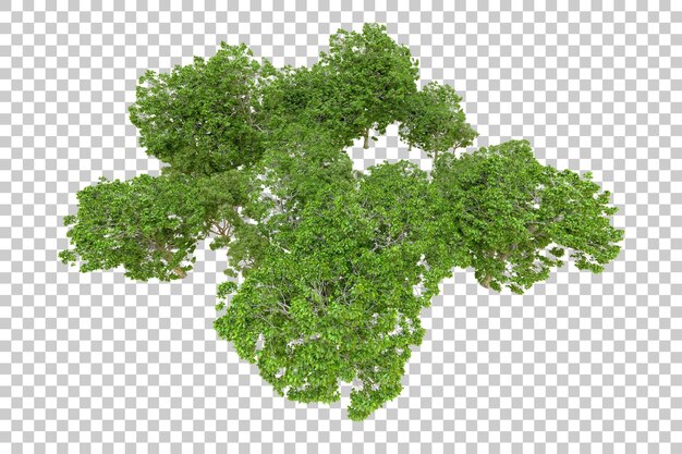 Grüner Wald isoliert auf transparentem Hintergrund 3D-Rendering-Illustration