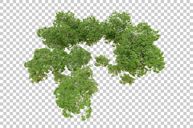 Grüner Wald isoliert auf transparentem Hintergrund 3D-Rendering-Illustration
