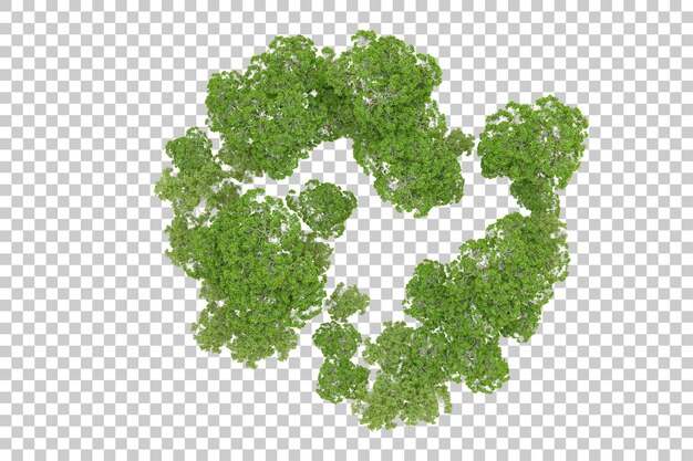 Grüner Wald isoliert auf transparentem Hintergrund 3D-Rendering-Illustration