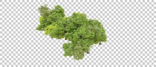 Grüner Wald isoliert auf transparentem Hintergrund 3D-Rendering-Illustration