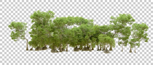 Grüner Wald isoliert auf transparentem Hintergrund 3D-Rendering-Illustration
