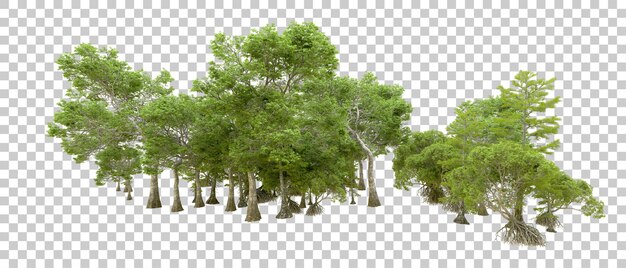 Grüner Wald isoliert auf transparentem Hintergrund 3D-Rendering-Illustration