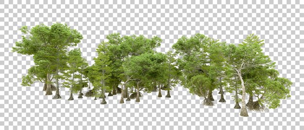 Grüner Wald isoliert auf transparentem Hintergrund 3D-Rendering-Illustration