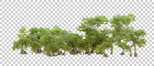 Grüner Wald isoliert auf transparentem Hintergrund 3D-Rendering-Illustration