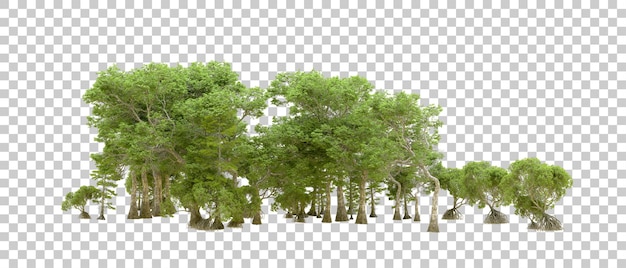 Grüner Wald isoliert auf transparentem Hintergrund 3D-Rendering-Illustration