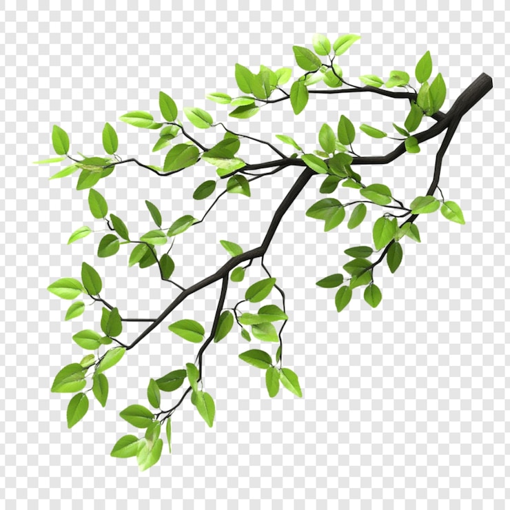 PSD grüner zweig frühlingsblätter der natur