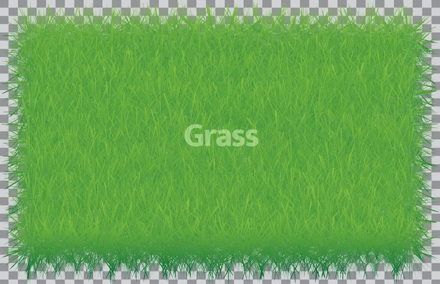 Grünes Gras mit dem Wort Gras darauf.