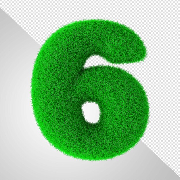 Grünes Gras Nummer 6 mit weißem Hintergrund.