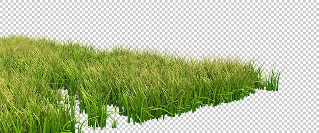 Grünes grasfeld mit blumen auf transparentem hintergrund 3d-darstellung