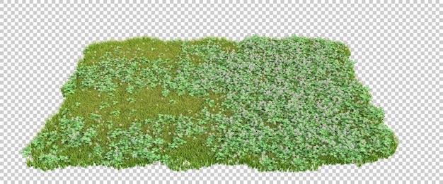 Grünes Grasfeld mit Blumen auf transparentem Hintergrund 3D-Darstellung