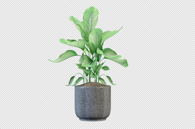 Grünes Zimmerpflanzenmodell in 3D-Rendering