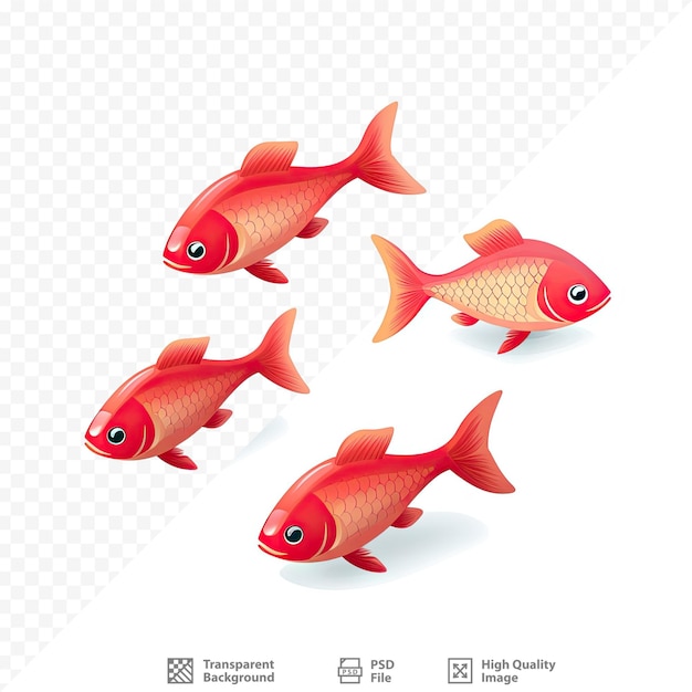 Un grupo de peces rojos sobre un fondo blanco.