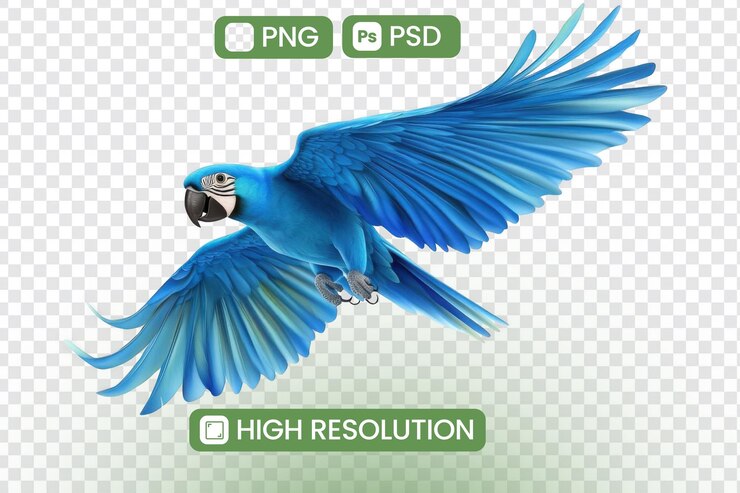 PSD el guacamayo jacinto se eleva por el aire con gracia y majestad mostrando plumas azules vibrantes en formatos de alta resolución png y psd un impresionante espectáculo aviario de la belleza de la naturaleza