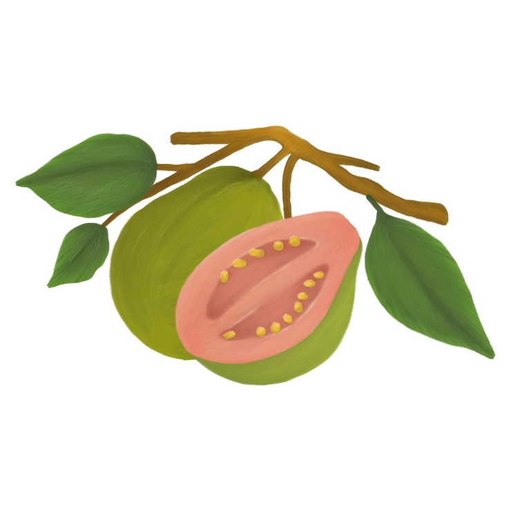 PSD guava-früchte