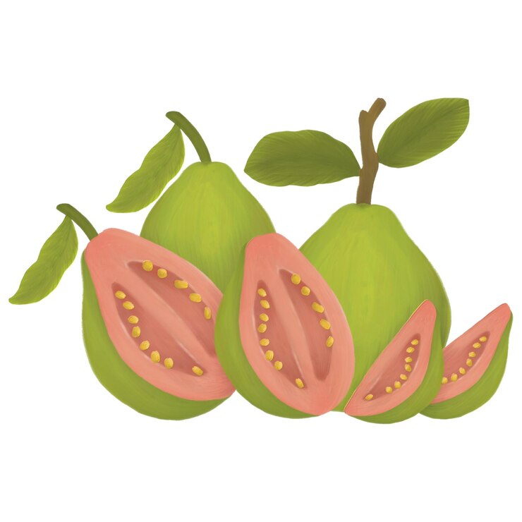 PSD guava-früchte