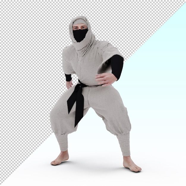 Guerriero ninja 3d isolato