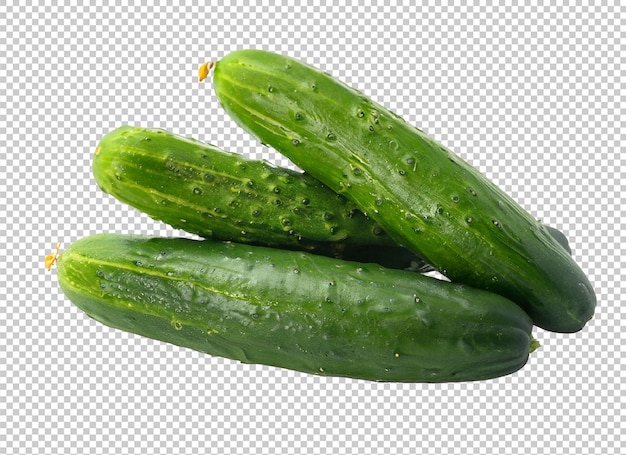 Gurke auf Alpha-Schicht