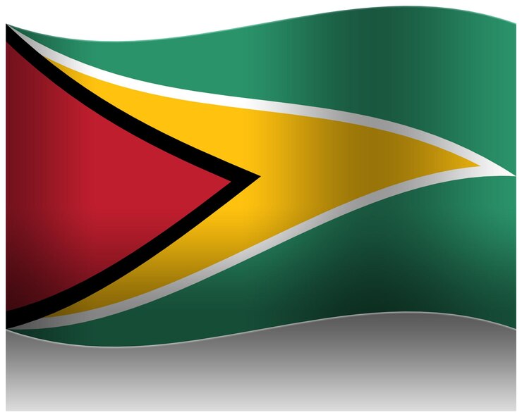 PSD guyana wave flag 3d
