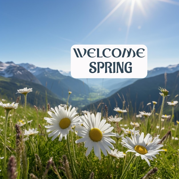 PSD hallo frühlingsbanner-vorlage mit gänseblume