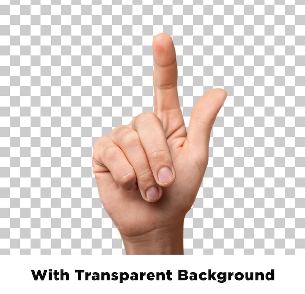 Hand Gesture Pointing Up with Two Fingers Raised