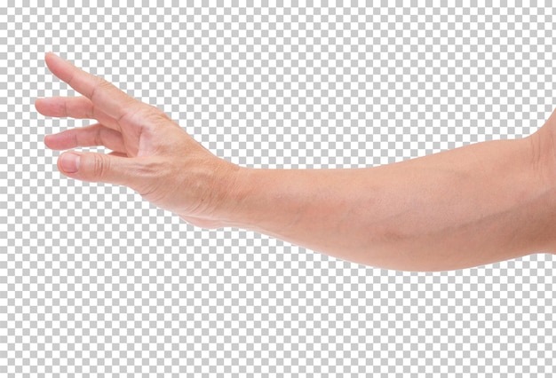 Hand isoliert