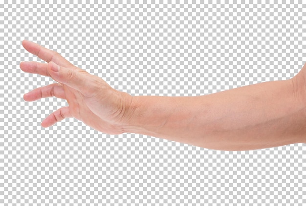 PSD hand isoliert