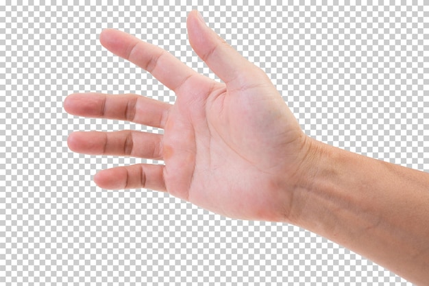 PSD hand isoliert