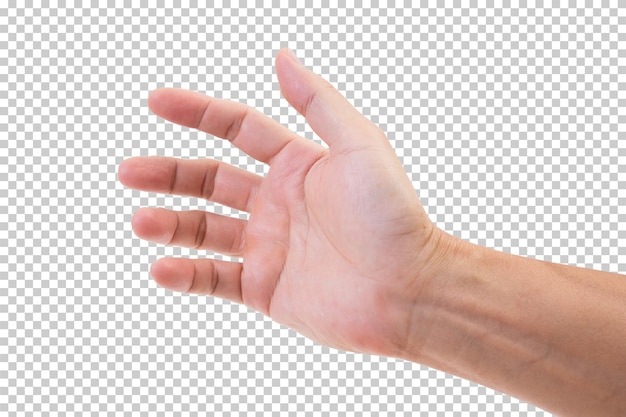 PSD hand isoliert