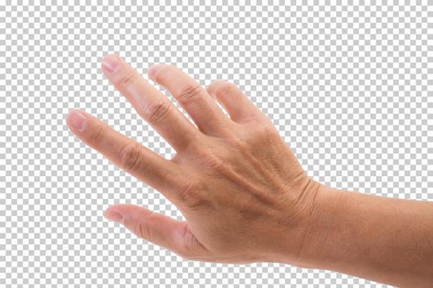 PSD hand isoliert