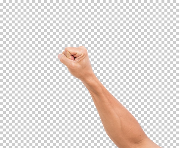 PSD hand isoliert