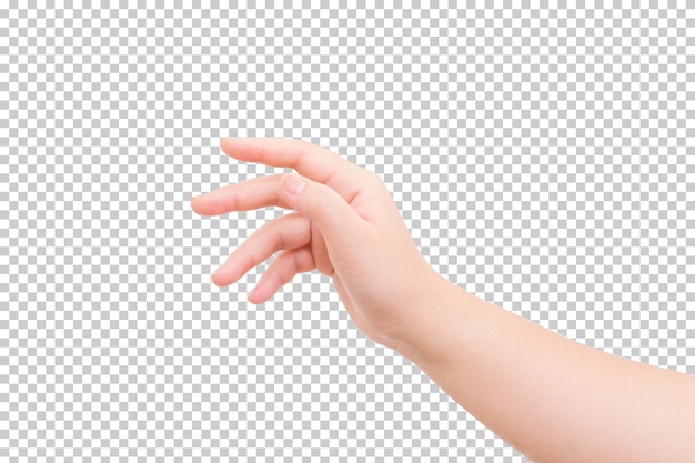 Hand isoliert